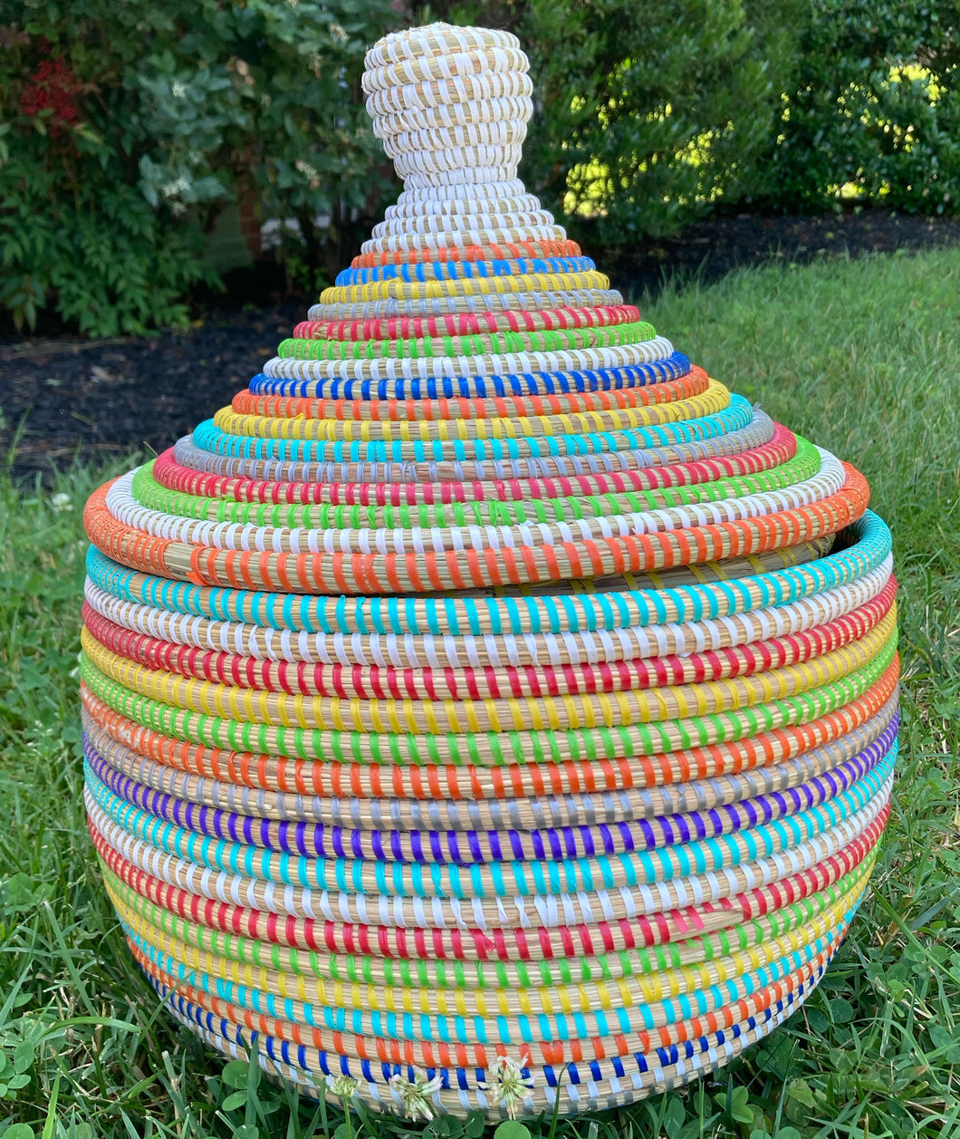 Large Lidded Wishing Basket- Multicolor A
