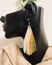 Load image into Gallery viewer, Colors of the Earth Fringe Earrings
