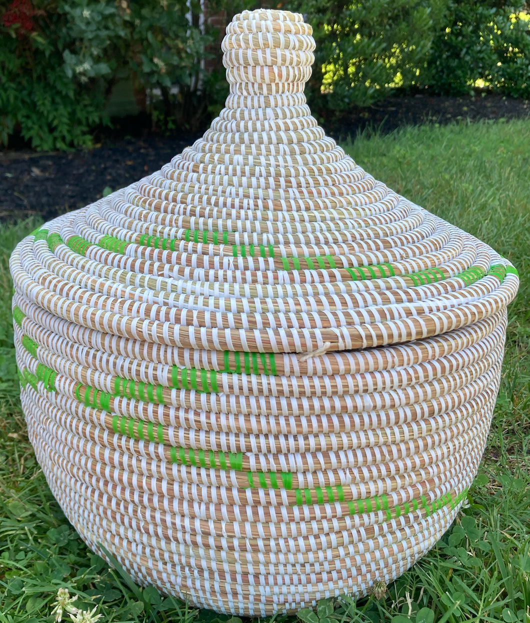 Sweet Grass Large Lidded Baskets - White & Green